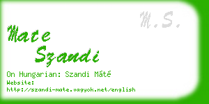 mate szandi business card