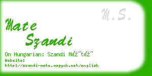 mate szandi business card